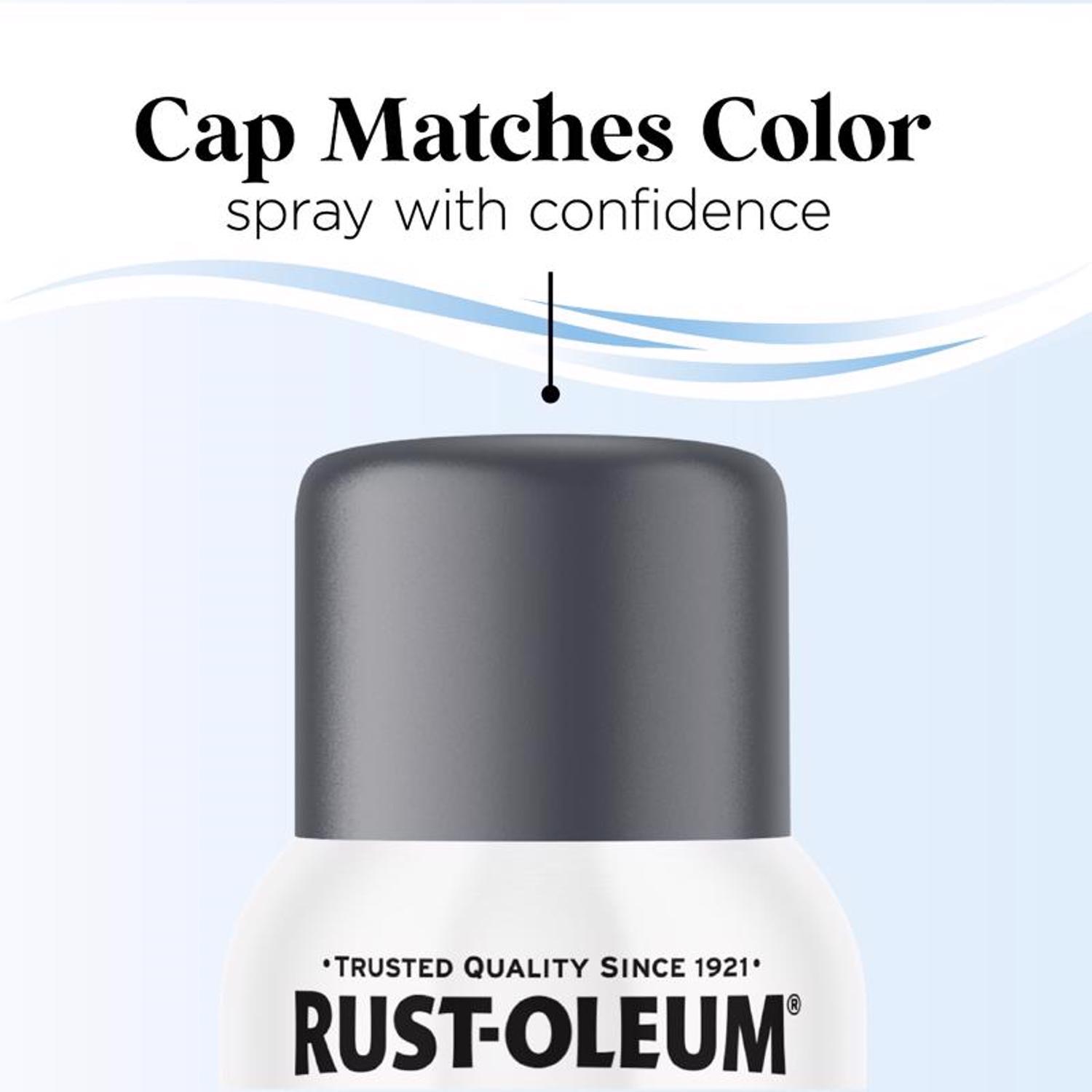 Rust-Oleum Low Odor Matte Deep Sea Spray Paint 11 oz.