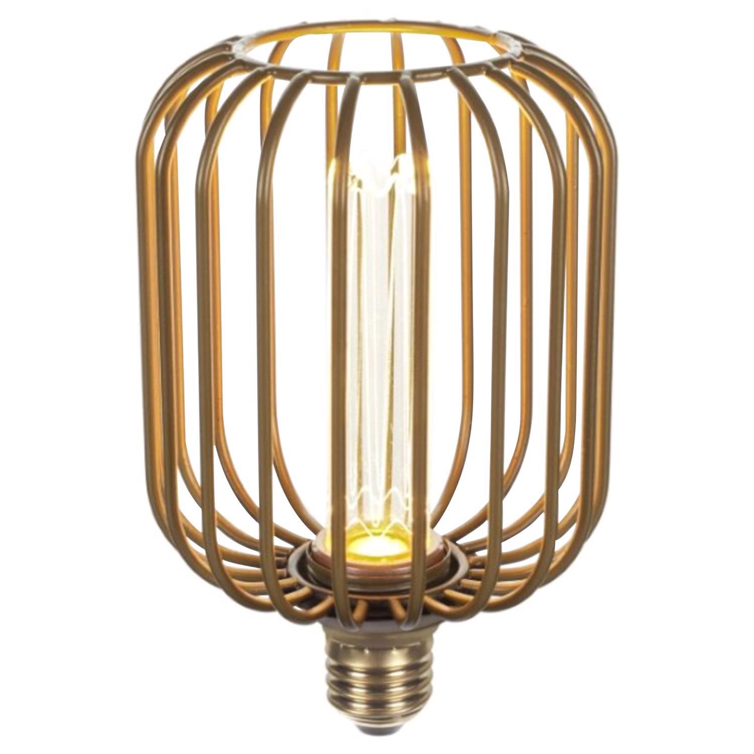 Globe Electric Decorative E26 (Medium) LED Bulb Soft White 3 Watt Equivalence 1 Pack