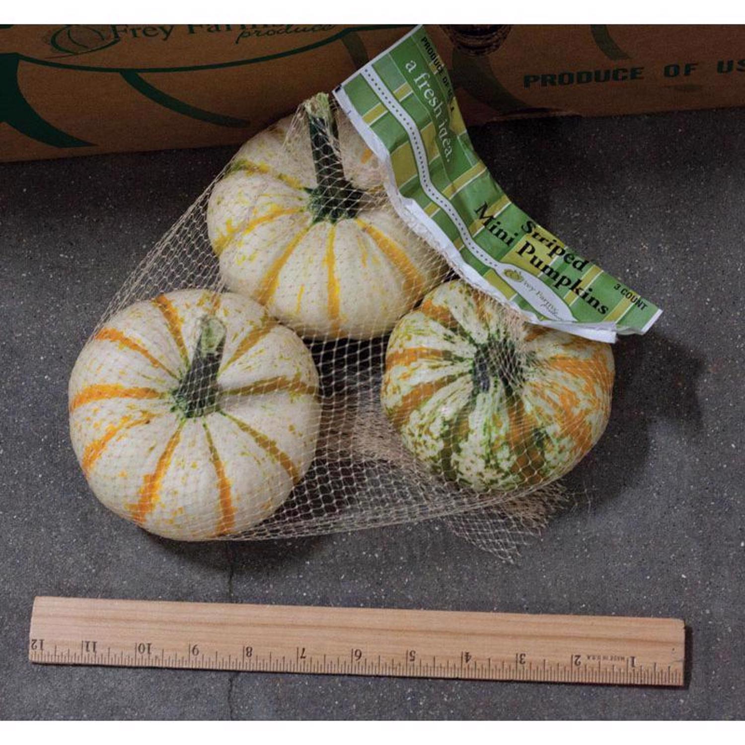Frey Farms Sarah's Home Grown Orange Mini Pumpkins 3