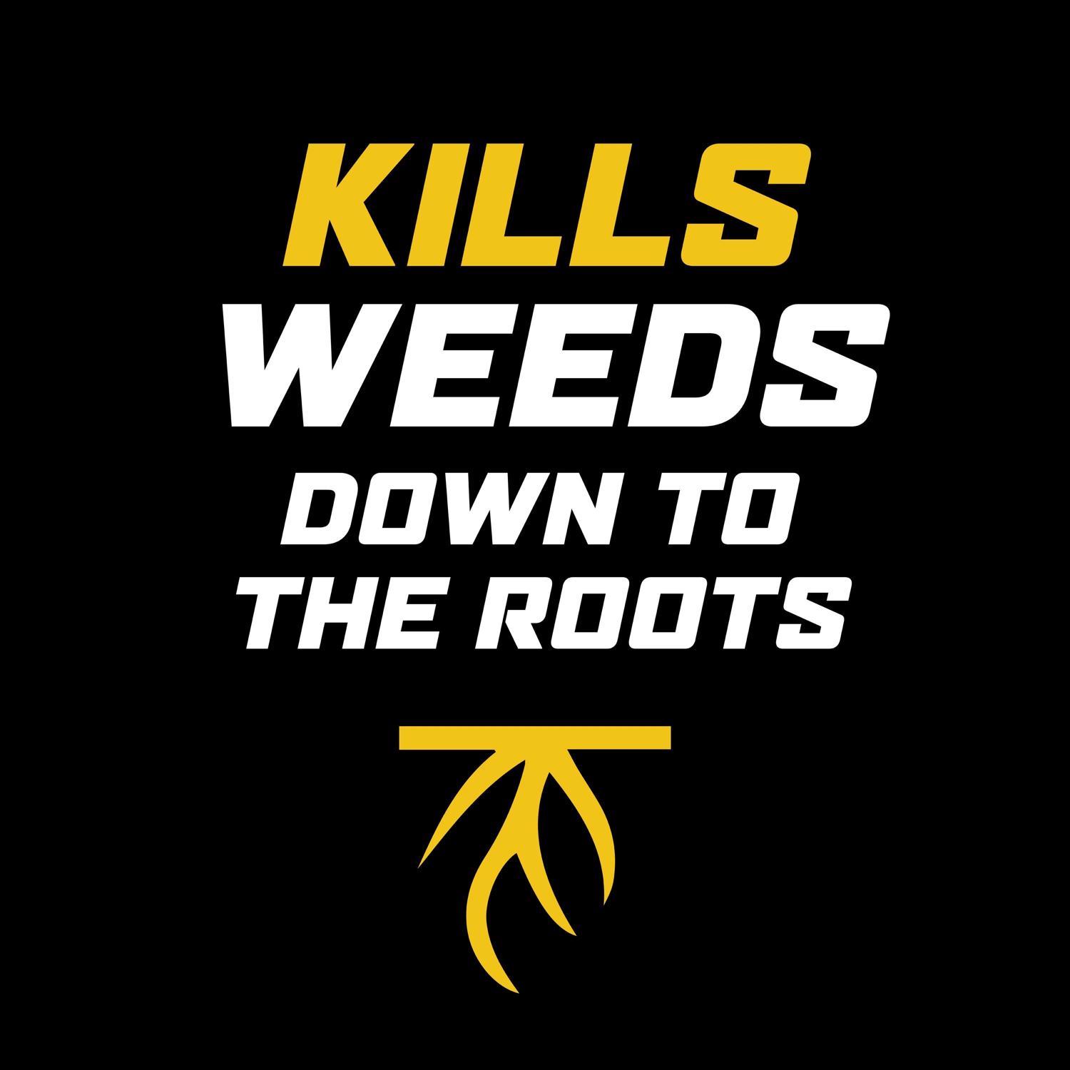 Ortho WeedClear Weed Killer Concentrate 32 oz