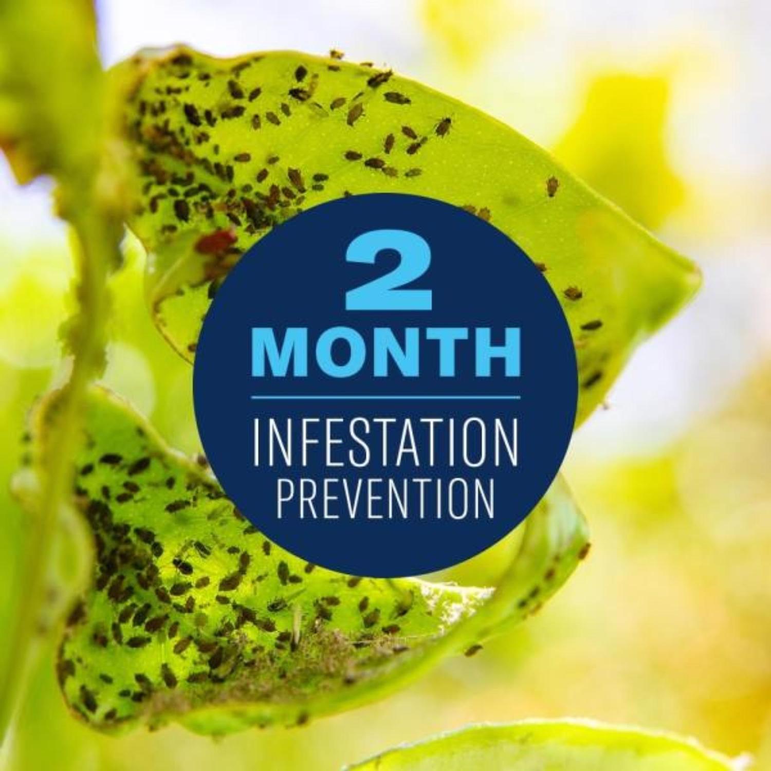 BioAdvanced Fruit, Citrus, and Vegetable Insect Control Concentrate 32 oz