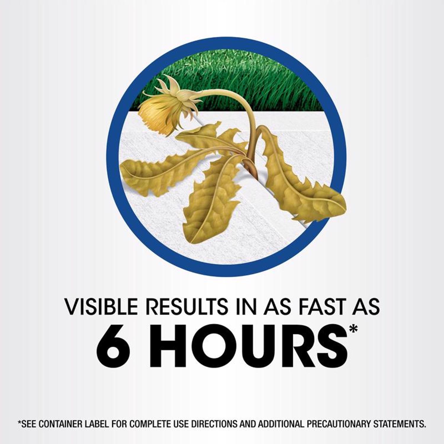 Roundup Pump 'N Go Weed and Grass Killer RTU Liquid 1.33 gal