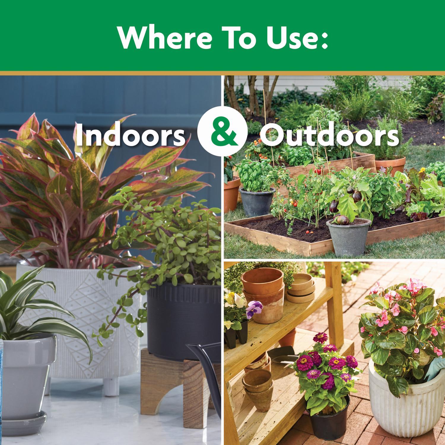 Miracle-Gro Powder Plant Food 3 lb