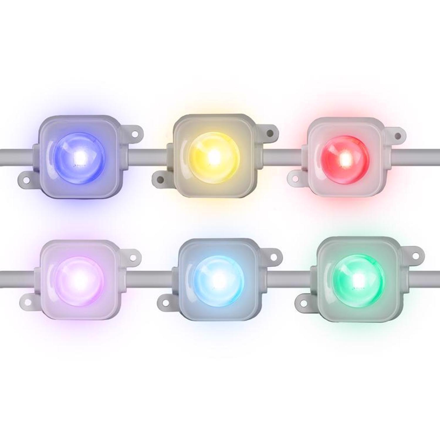 Celebrations Platinum LED RGBW 65 ct Smart-Enabled Christmas Lights Add On