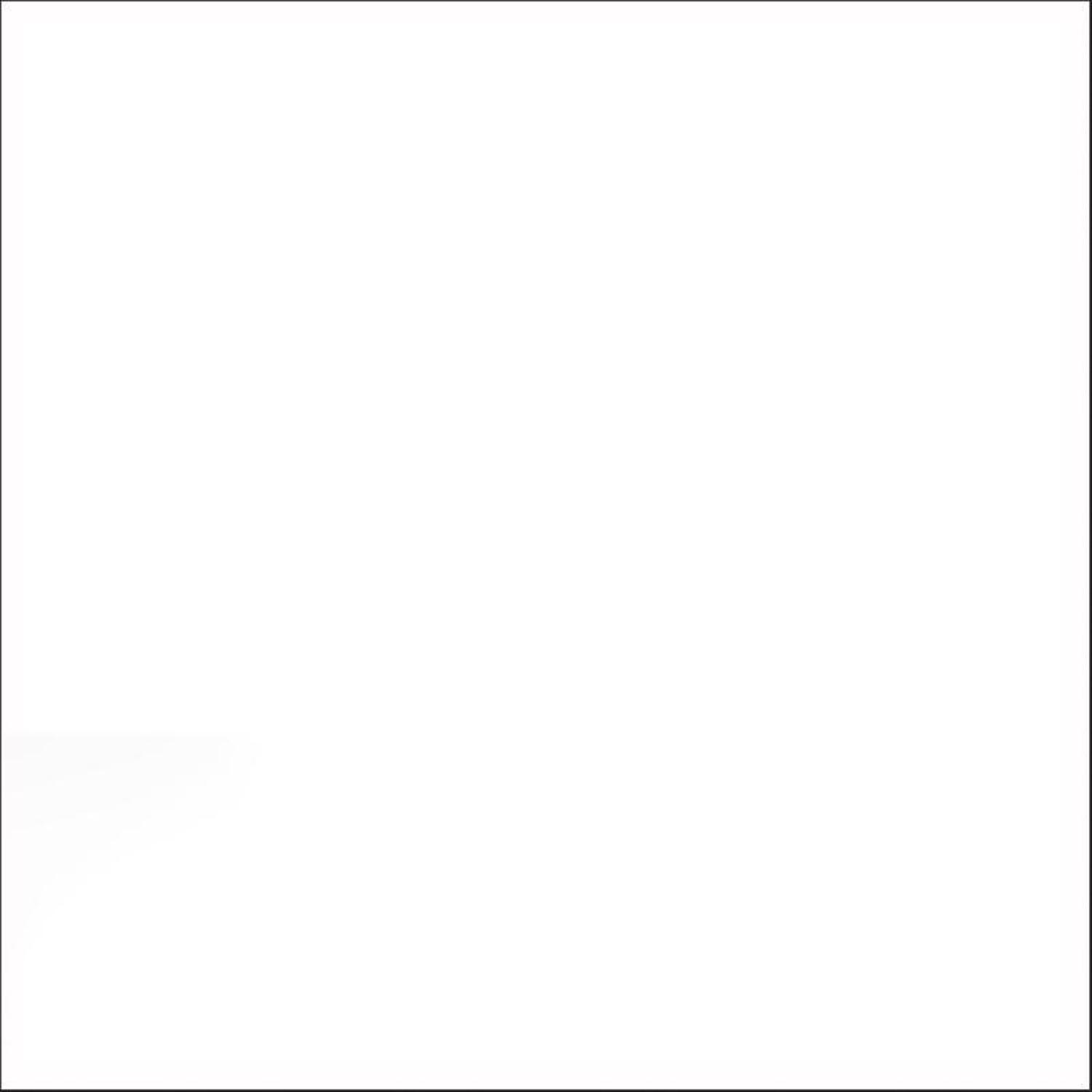Rust-Oleum Painter's Touch 2X Ultra Cover Matte Clear Acrylic Coating Spray Paint 12 oz