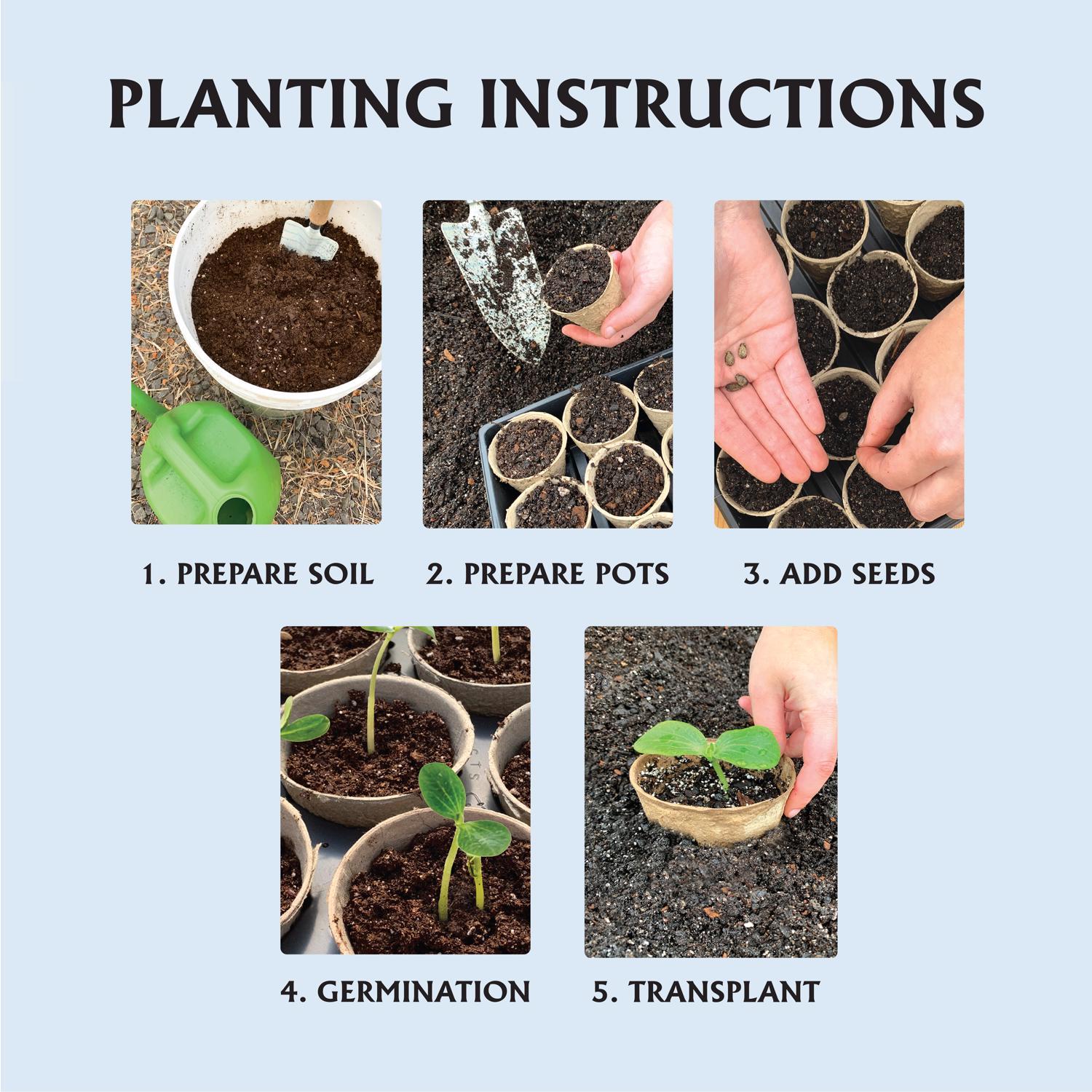 Ferry-Morse 23 Cells 2 in. H X 2.25 in. W X 2.25 in. L Seed Starting Peat Pot 23 pk
