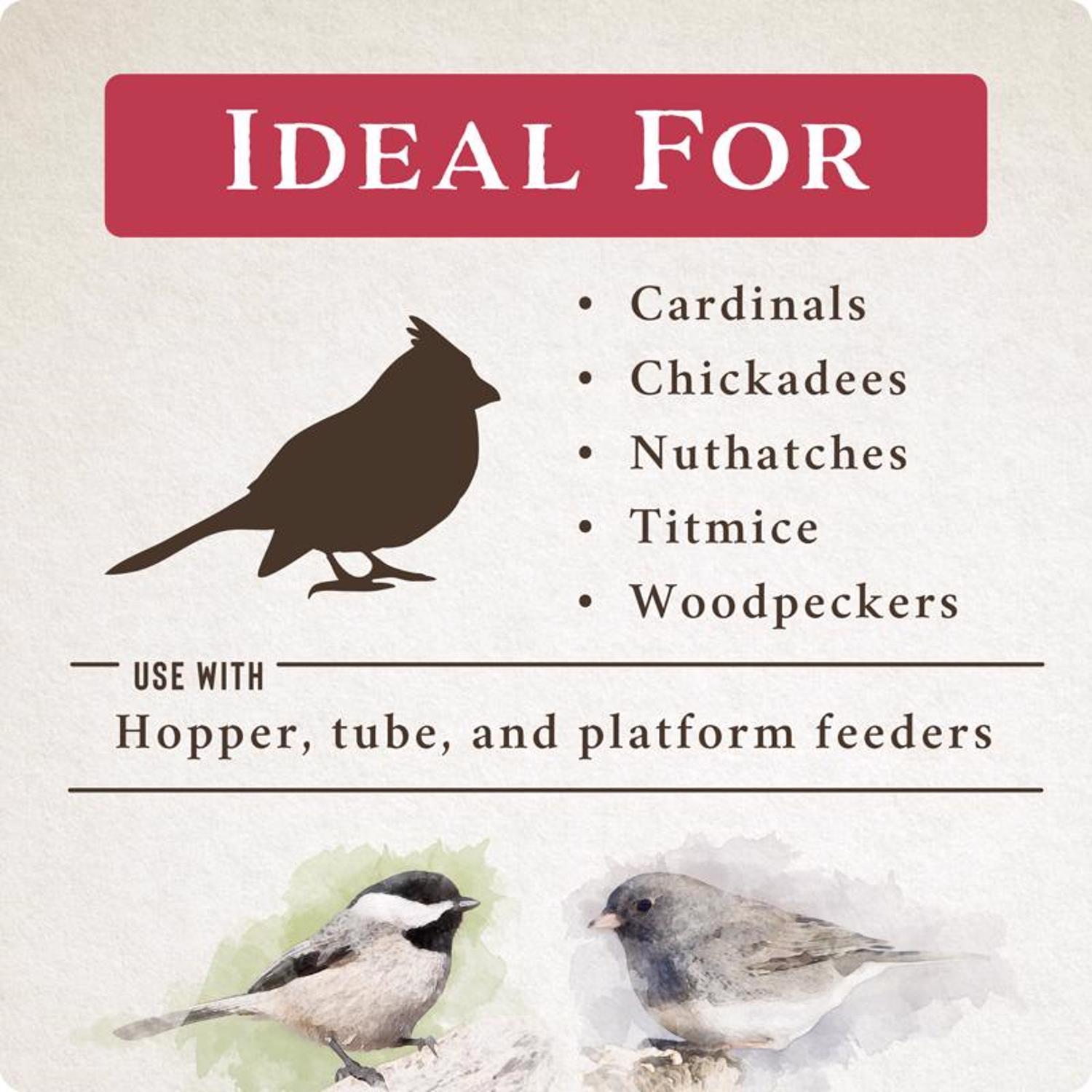Songbird Selections Songbird Crunch Wild Bird Food 10 lb