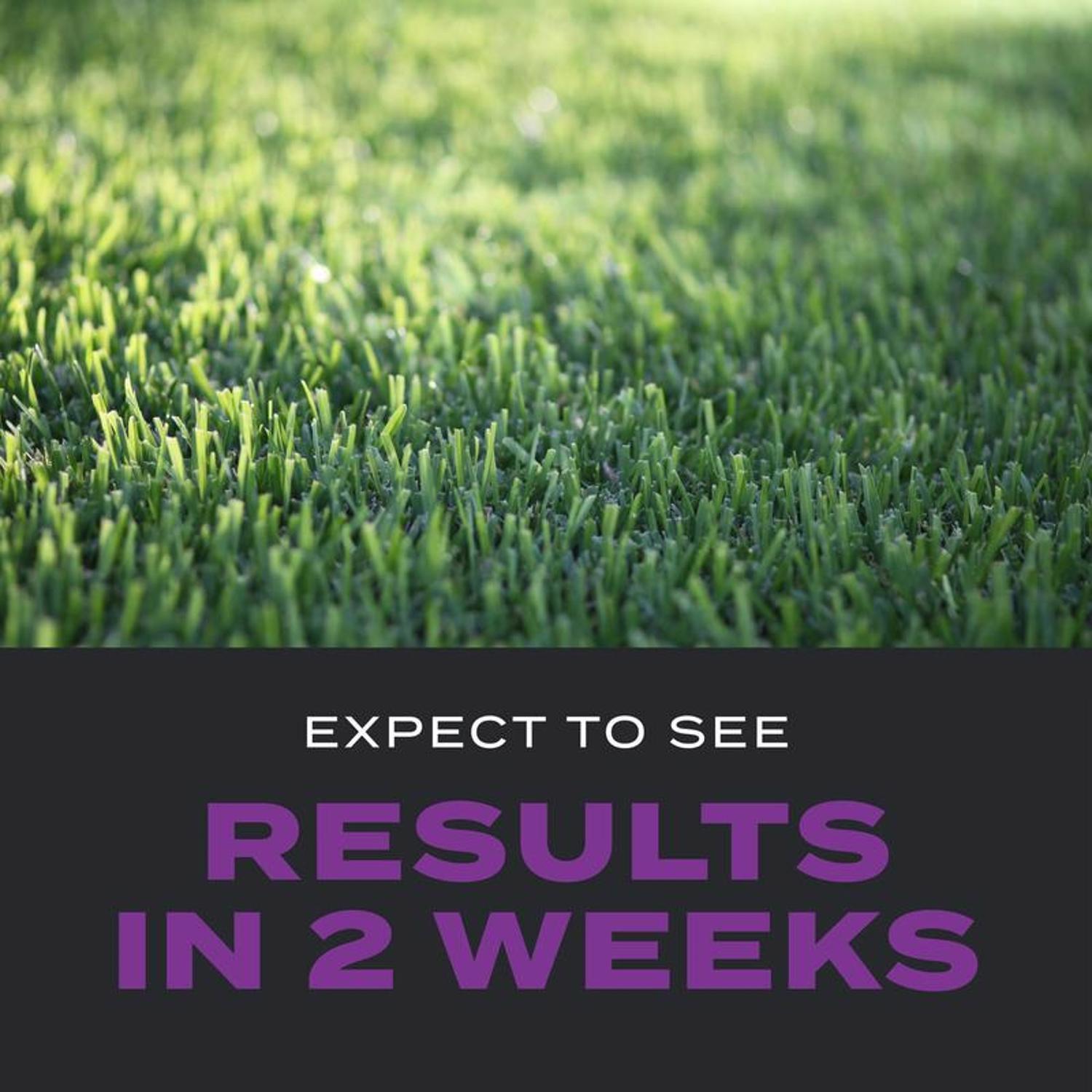 Scotts Turf Builder Southern Weed & Feed Lawn Fertilizer For Multiple Grass Types 4000 sq ft