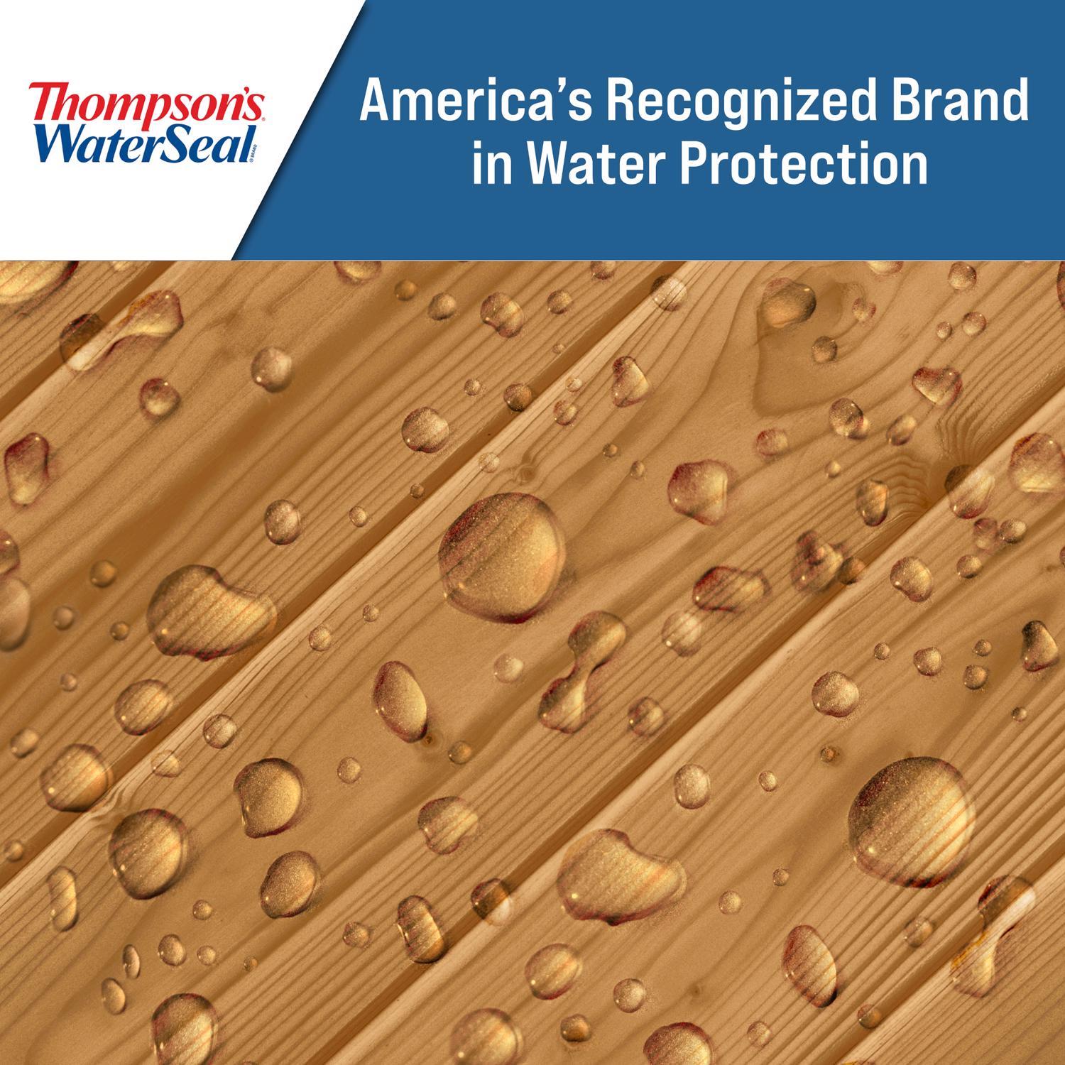 Thompson's WaterSeal Transparent Natural Cedar Waterproofing Wood Stain and Sealer 1 gal