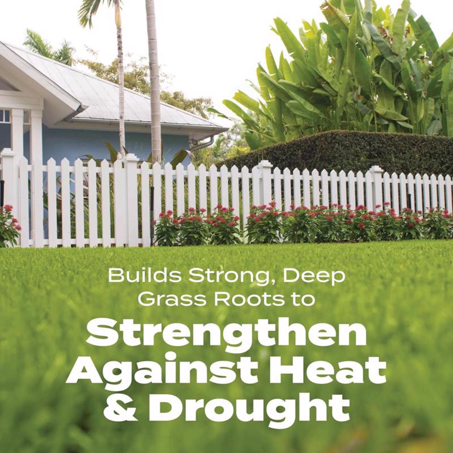 Scotts Turf Builder Bonus S Weed & Feed Southern Lawn Food For Multiple Grass Types 5000 sq ft