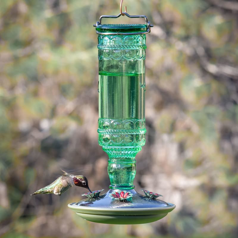 Perky-Pet Hummingbird 10 oz Glass/Metal Antique Bottle Nectar Bird Feeder 4 ports