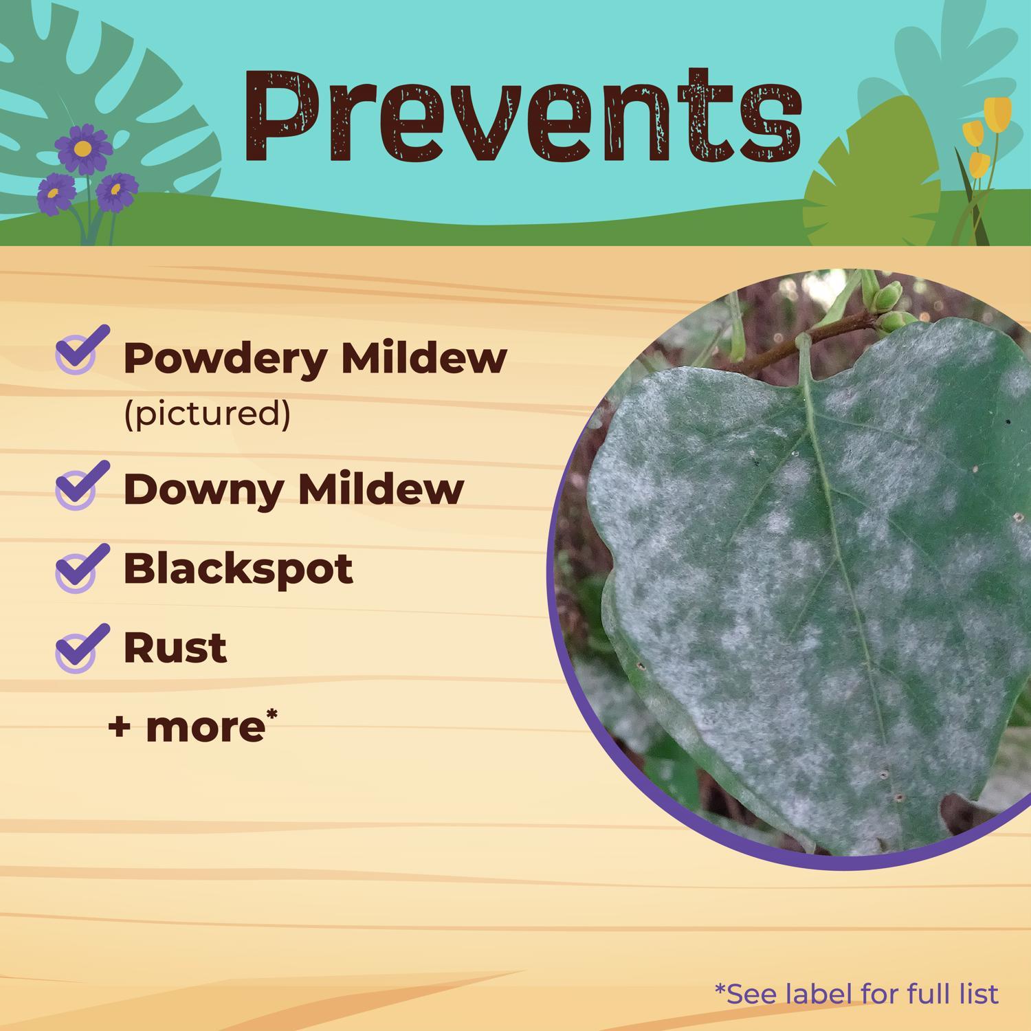 Bonide Captain Jack Organic Disease and Insect Control Liquid 32 oz