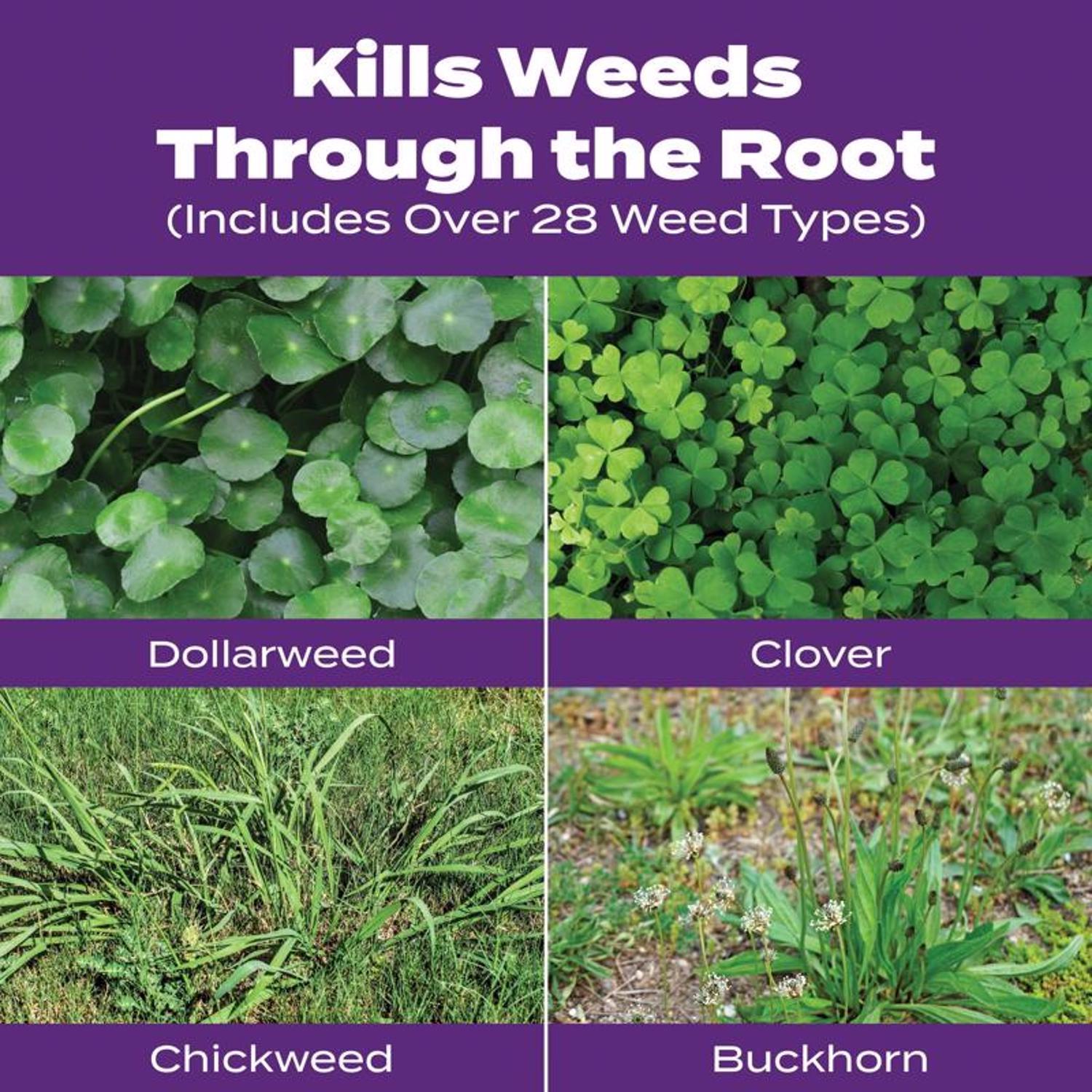Scotts Turf Builder Bonus S Weed & Feed Southern Lawn Food For Multiple Grass Types 5000 sq ft