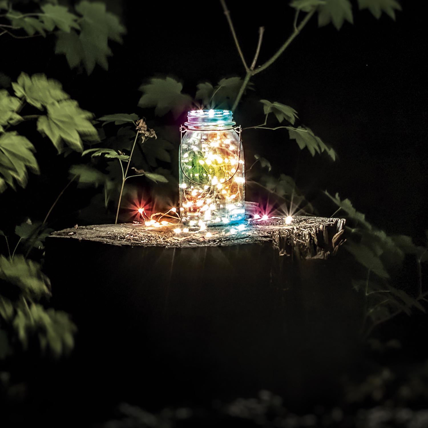 Feit LED Fairy String Lights Multicolored 30 ft. 100 lights