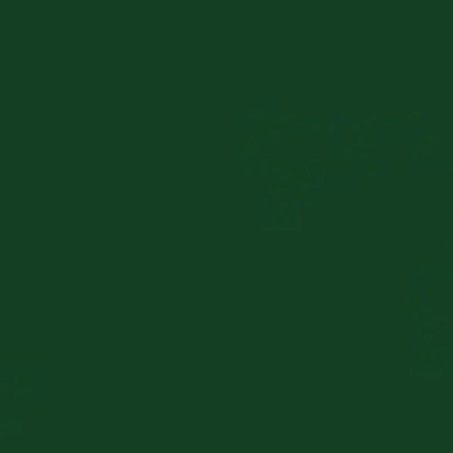 Rust-Oleum Painter's Touch 2X Ultra Cover Semi-Gloss Hunter Green Paint+Primer Spray Paint 12 oz