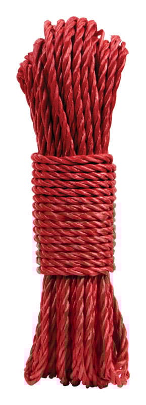Diamond Visions 0.25in. D x 72in. L Assorted Twisted Poly Rope