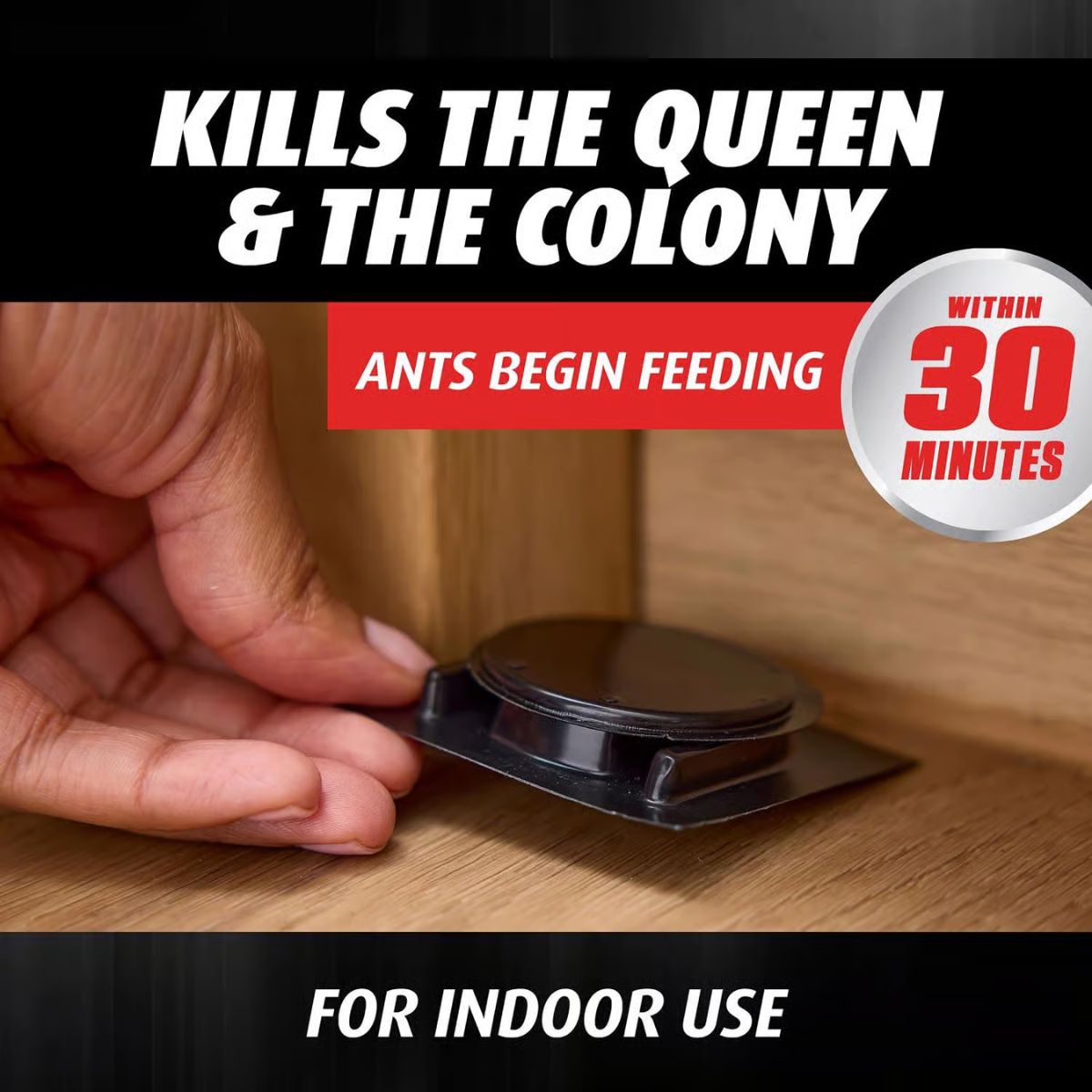 Ortho Orthene Ant Bait