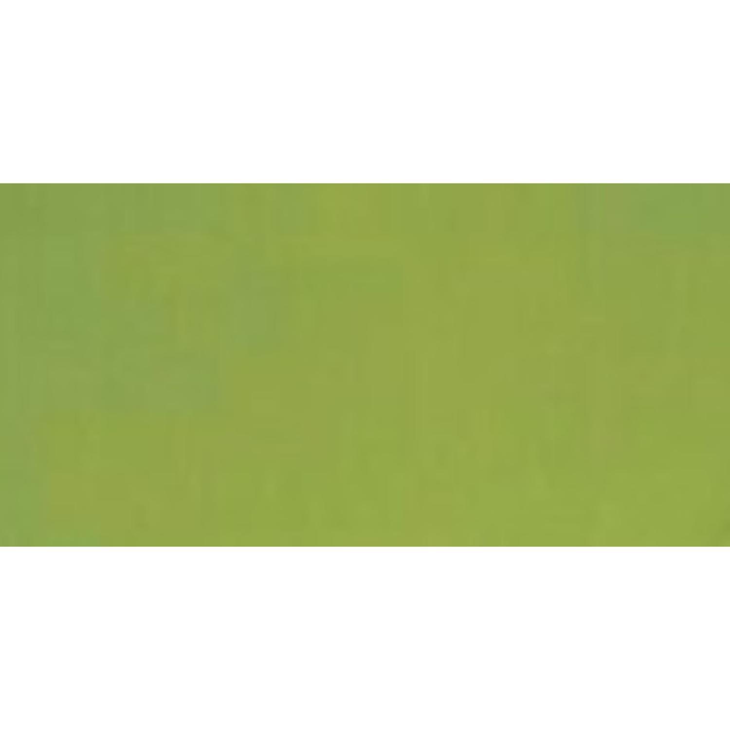 Living Accents 9 ft. Tiltable Spring Green Market Umbrella