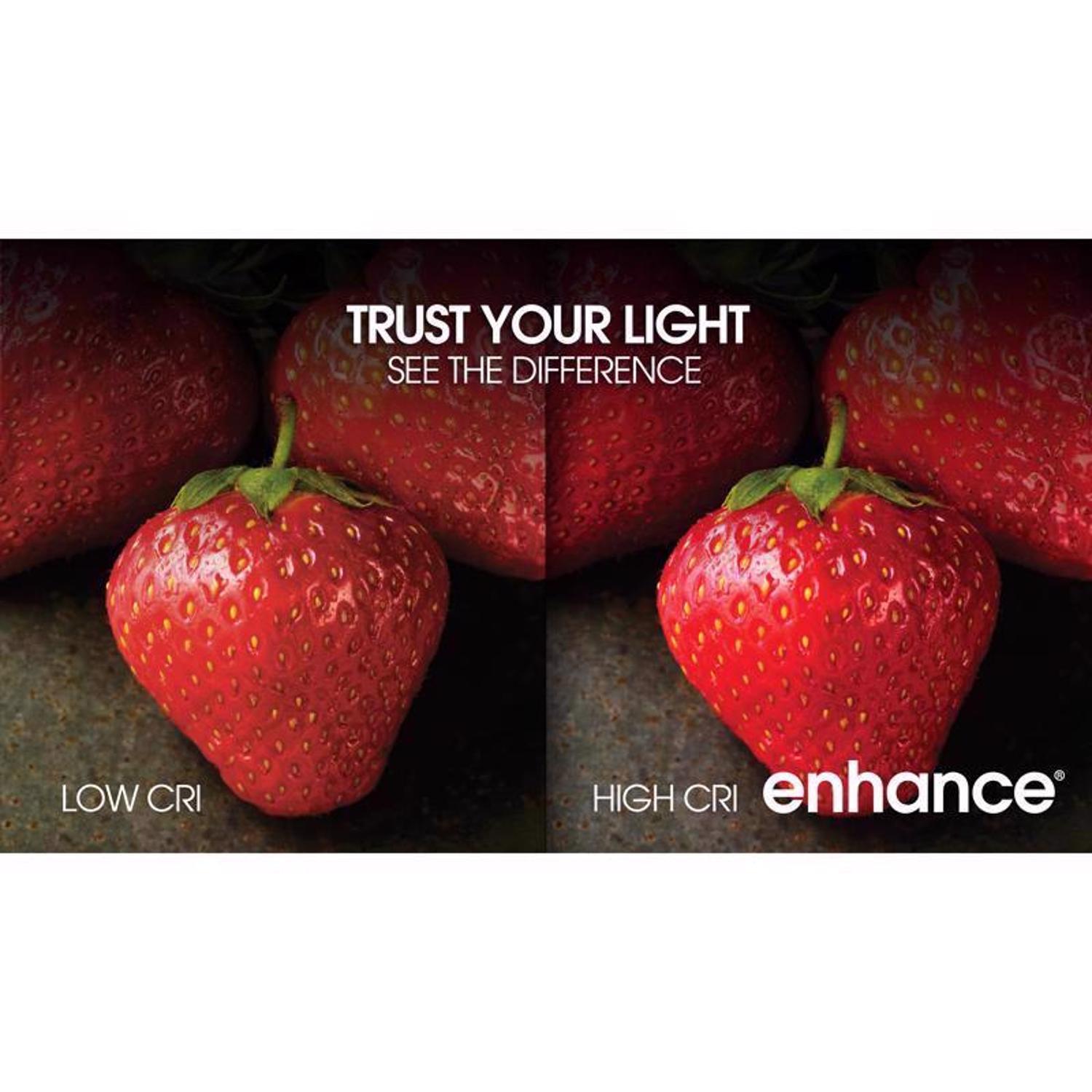 Feit A15 E26 (Medium) Filament LED Bulb Soft White 40 Watt Equivalence 2 pk