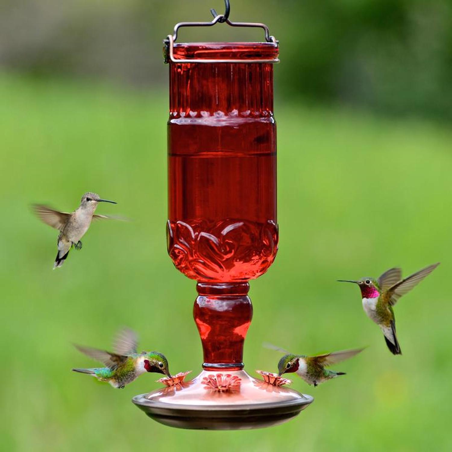 Perky-Pet Hummingbird 24 oz Copper/Glass Antique Bottle Nectar Bird Feeder 4 ports
