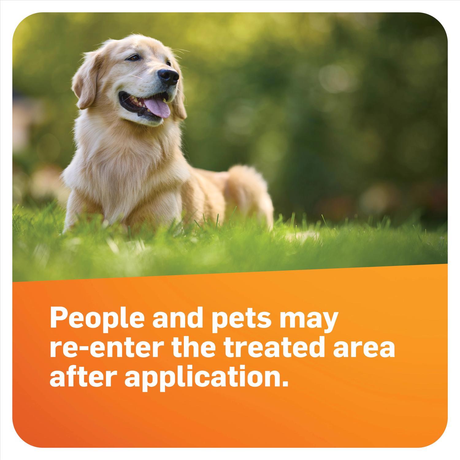 Scotts DiseaseEx Granules Lawn Fungicide 10 lb