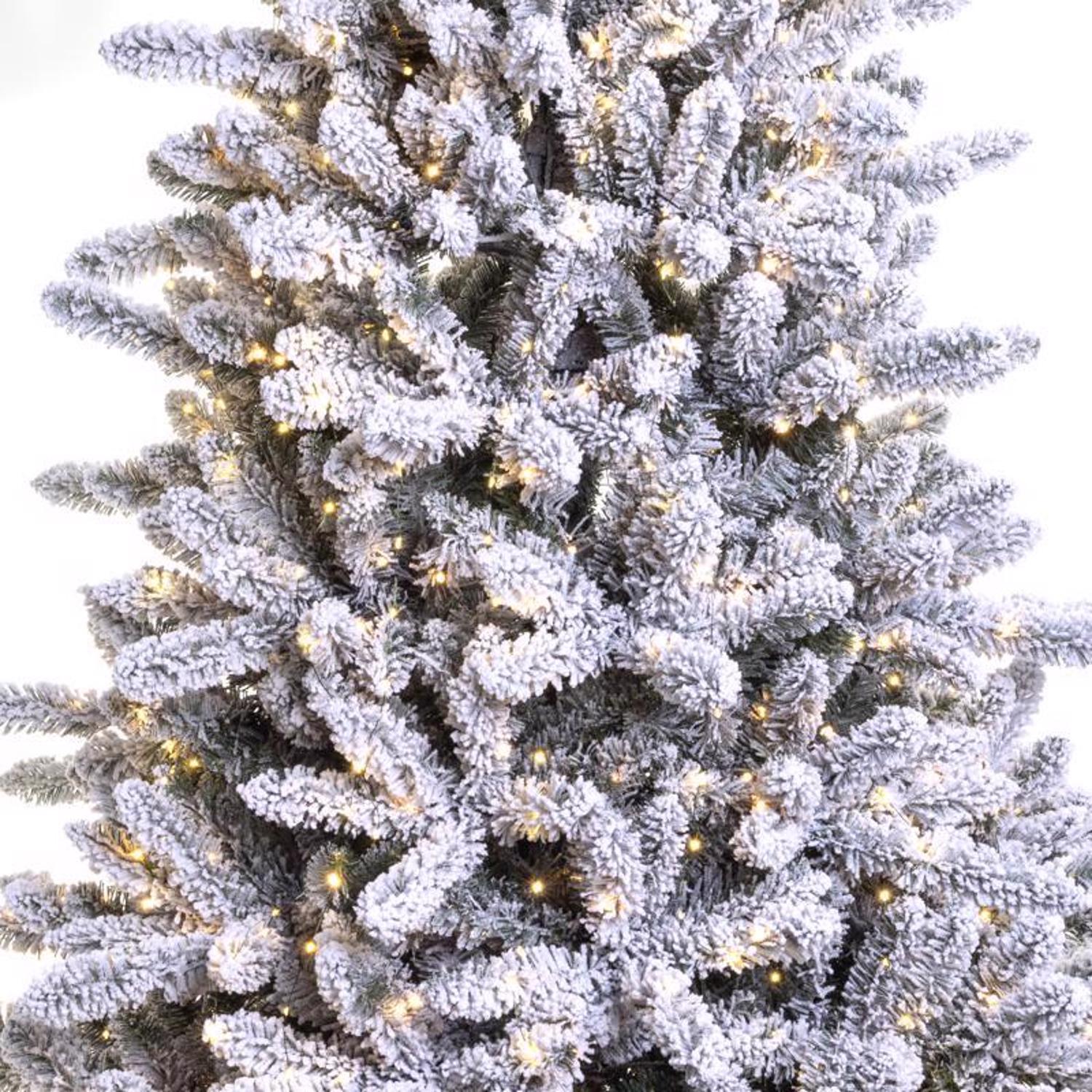 Holiday Bright Lights 7 ft. Full LED 1282 ct King Pine Color Changing Christmas Tree