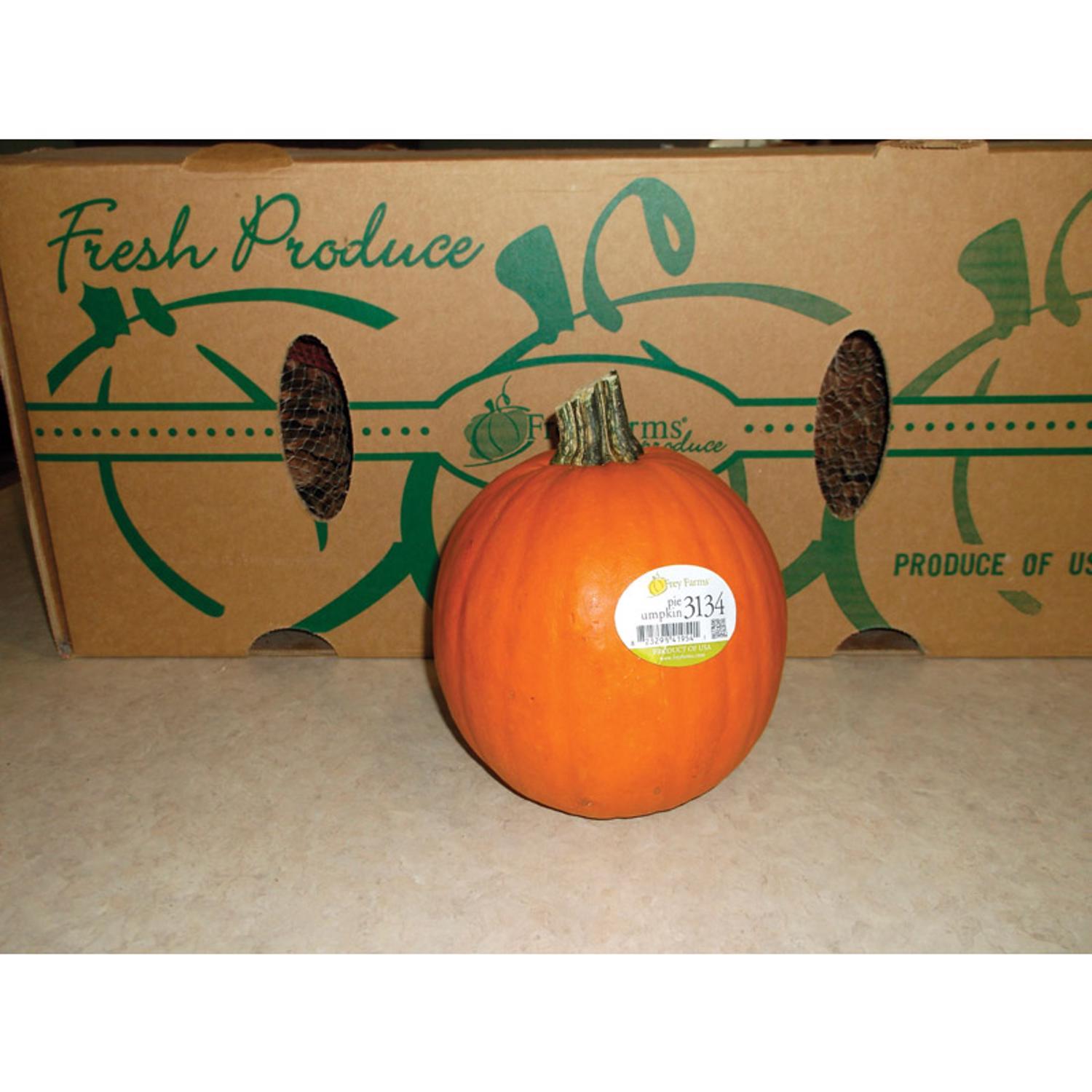 Frey Farms Sarah's Home Grown Orange Pumpkin