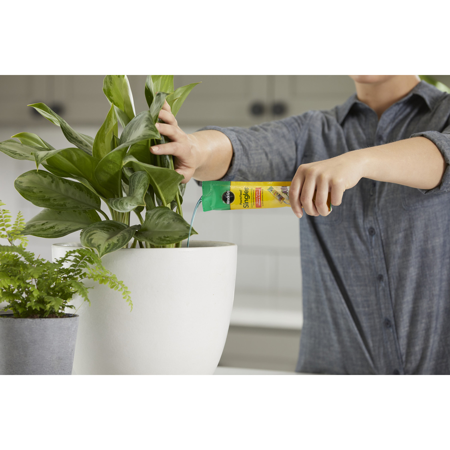 Miracle-Gro Pour & Feed Liquid Plant Food 2 oz