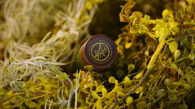 Hunt Scent-Free, DEET-Free Insect Repellent Lotion