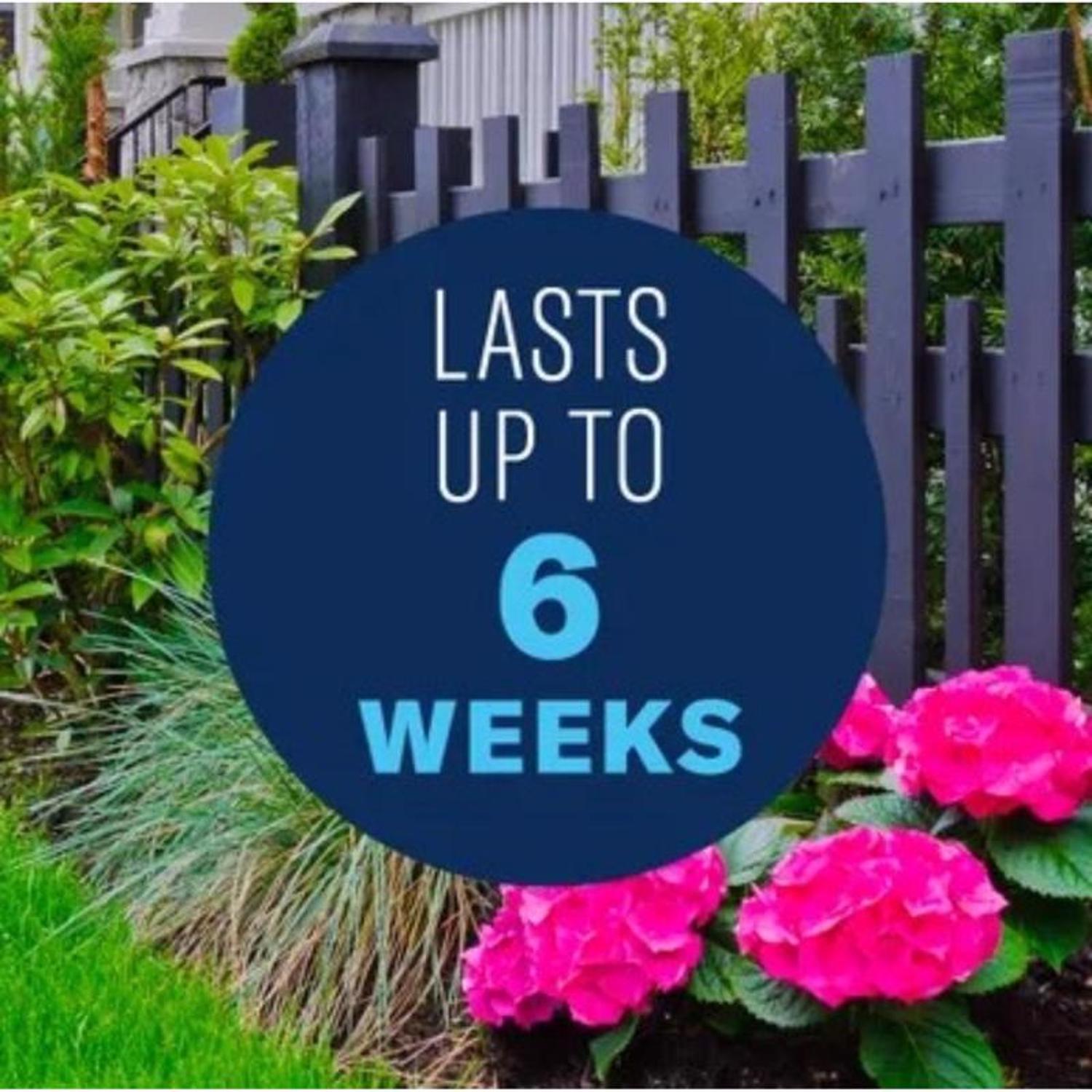 BioAdvanced Rose & Flower Care Granules Rose & Flower Plant Food 4 lb