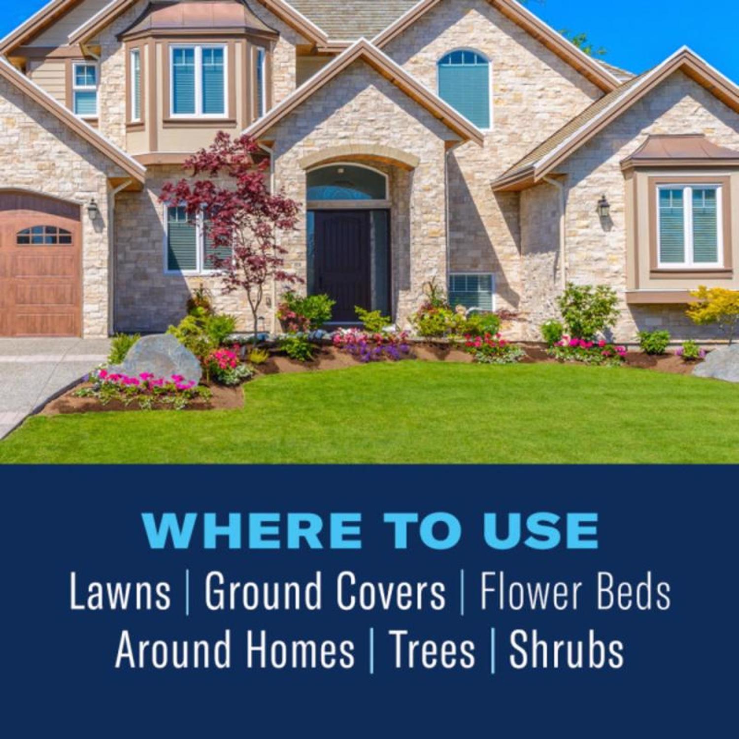 BioAdvanced Complete Insect Killer for Soil & Turf Granules 10 lb