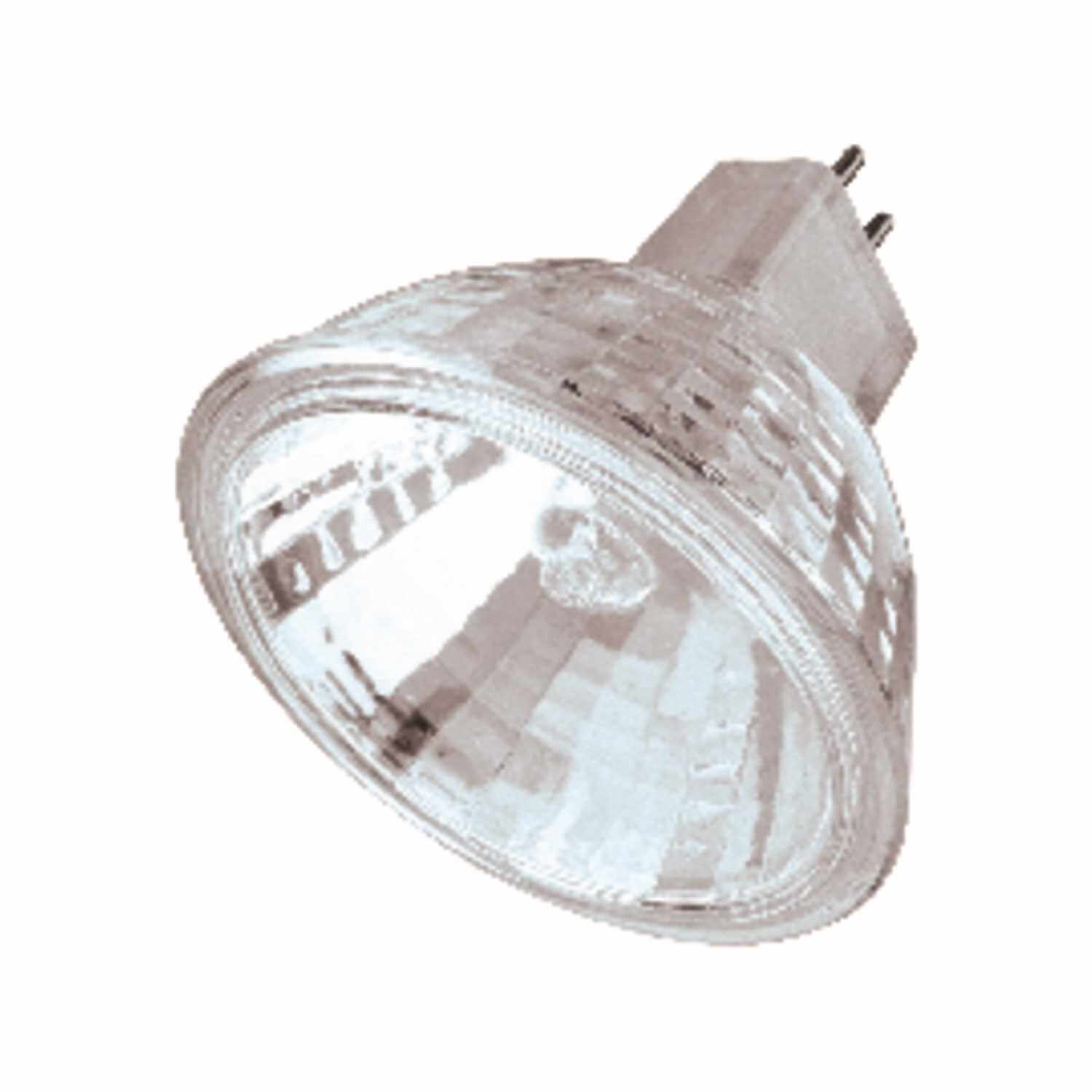 Halogen Bulbs