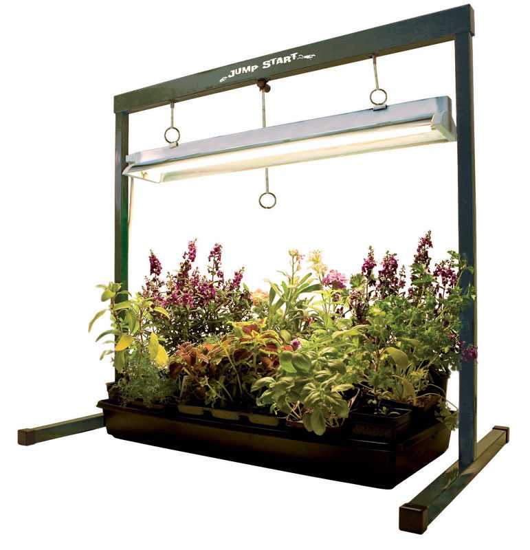 Hydroponic Gardening