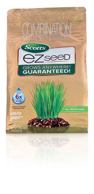 Grass Seed